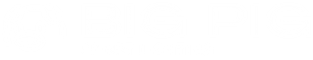 BigPig Logo (2)