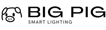 BigPig Logo