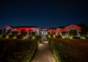 Holiday Light Images (3)