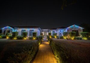 Holiday Light Images
