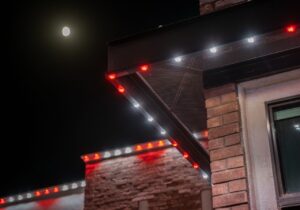 Holiday Light Images (7)