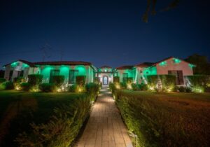 Holiday Light Images (8)