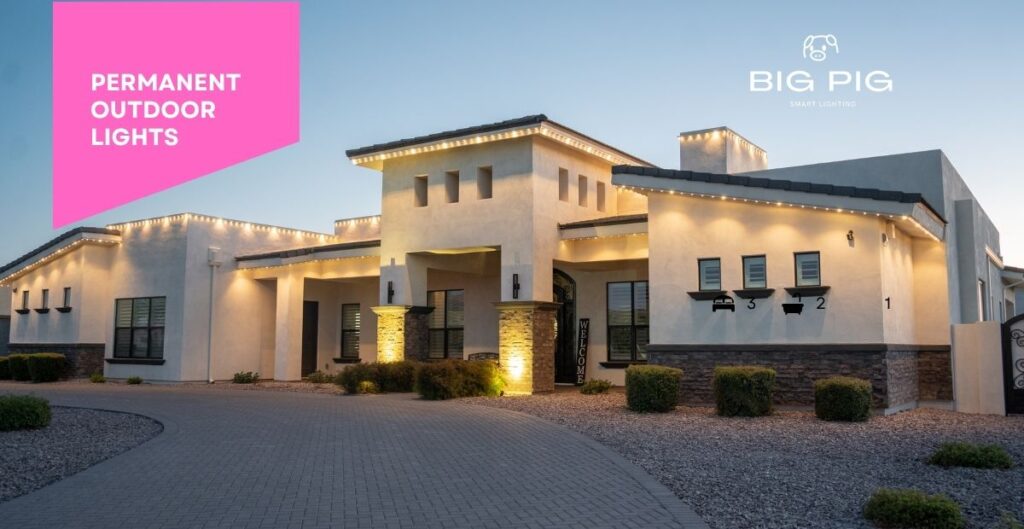 Big Pig Smart Lighting Service Areas