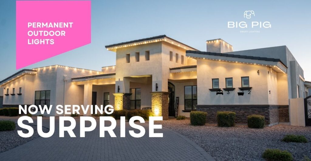 permanent outdoor lights Surprise​